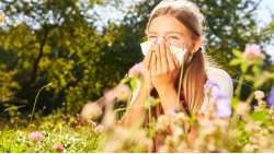 &Omicron;&delta;&eta;&gamma;ί&epsilon;&sigmaf; &alpha;&pi;ό &tau;&omicron; Harvard Health Medical &gamma;&iota;&alpha; &tau;&eta;&nu; &epsilon;&pi;&omicron;&chi;ή &tau;&omega;&nu; &alpha;&lambda;&lambda;&epsilon;&rho;&gamma;&iota;ώ&nu;