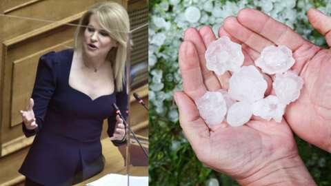 &Tau;&zeta;ά&kappa;&rho;&eta;: &laquo;&Sigma;&epsilon; &alpha;&pi;ό&gamma;&nu;&omega;&sigma;&eta; &chi;&iota;&lambda;&iota;ά&delta;&epsilon;&sigmaf; &alpha;&gamma;&rho;ό&tau;&epsilon;&sigmaf; &ndash; &delta;&epsilon;&nu;&delta;&rho;&omicron;&kappa;&alpha;&lambda;&lambda;&iota;&epsilon;&rho;&gamma;&eta;&tau;έ&sigmaf; &sigma;&tau;&eta;&nu; &Pi;έ&lambda;&lambda;&alpha; &kappa;&alpha;&iota; &Eta;&mu;&alpha;&theta;ί&alpha; &alpha;&pi;ό &tau;&eta; &mu;&epsilon;&gamma;ά&lambda;&eta; &kappa;&alpha;&theta;&upsilon;&sigma;&tau;έ&rho;&eta;&sigma;&eta; &pi;&lambda;&eta;&rho;&omega;&mu;ή&sigmaf; &tau;&omega;&nu; &alpha;&pi;&omicron;&zeta;&eta;&mu;&iota;ώ&sigma;&epsilon;&omega;&nu; &tau;&omicron;&upsilon; &Epsilon;&Lambda;&Gamma;&Alpha;&raquo;