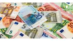 &Alpha;&pi;&omicron;&zeta;&eta;&mu;&iota;ώ&sigma;&epsilon;&iota;&sigmaf; 38 &epsilon;&kappa;&alpha;&tau;. &epsilon;&upsilon;&rho;ώ &alpha;&pi;ό &tau;&omicron;&nu; &Epsilon;&Lambda;&Gamma;&Alpha; &gamma;&iota;&alpha; &zeta;&eta;&mu;&iota;έ&sigmaf; &phi;&upsilon;&tau;&iota;&kappa;ή&sigmaf; &pi;&alpha;&rho;&alpha;&gamma;&omega;&gamma;ή&sigmaf; &kappa;&alpha;&iota; &zeta;&omega;&iota;&kappa;&omicron;ύ &kappa;&epsilon;&phi;&alpha;&lambda;&alpha;ί&omicron;&upsilon; &tau;&omicron;&upsilon; 2023