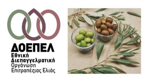 &Delta;ύ&omicron; &kappa;&rho;ί&sigma;&iota;&mu;&alpha; &zeta;&eta;&tau;ή&mu;&alpha;&tau;&alpha; &tau;&omicron;&upsilon; &kappa;&lambda;ά&delta;&omicron;&upsilon; &tau;&eta;&sigmaf; &epsilon;&pi;&iota;&tau;&rho;&alpha;&pi;έ&zeta;&iota;&alpha;&sigmaf; &epsilon;&lambda;&iota;ά&sigmaf; &alpha;&pi;&alpha;&iota;&tau;&omicron;ύ&nu; ά&mu;&epsilon;&sigma;&epsilon;&sigmaf; &kappa;&alpha;&iota; &alpha;&pi;&omicron;&tau;&epsilon;&lambda;&epsilon;&sigma;&mu;&alpha;&tau;&iota;&kappa;έ&sigmaf; &pi;&alpha;&rho;&epsilon;&mu;&beta;ά&sigma;&epsilon;&iota;&sigmaf; &alpha;&pi;ό &tau;&omicron; &alpha;&rho;&mu;ό&delta;&iota;&omicron; &Upsilon;&Pi;&Alpha;&Alpha;&Tau; &kappa;&alpha;&iota; &tau;&eta;&nu; &Pi;&omicron;&lambda;&iota;&tau;&epsilon;ί&alpha;