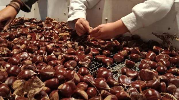 &Mu;&epsilon; &tau;&alpha;&chi;&epsilon;ί&sigmaf; &rho;&upsilon;&theta;&mu;&omicron;ύ&sigmaf; &pi;&rho;&omicron;&chi;&omega;&rho;ά &eta; &sigma;&upsilon;&gamma;&kappa;&omicron;&mu;&iota;&delta;ή &kappa;ά&sigma;&tau;&alpha;&nu;&omicron;&upsilon; &sigma;&tau;&eta; &Zeta;&alpha;&gamma;&omicron;&rho;ά &Pi;&eta;&lambda;ί&omicron;&upsilon;
