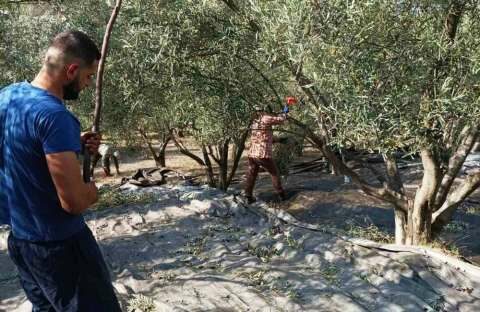 &Kappa;&alpha;&rho;&alpha;&sigma;&mu;ά&nu;&eta;&sigmaf; : &Delta;ί&nu;&epsilon;&tau;&alpha;&iota; &lambda;ύ&sigma;&eta; &sigma;&tau;&eta; &mu;&epsilon;&tau;ά&kappa;&lambda;&eta;&sigma;&eta; &gamma;&iota;&alpha; &alpha;&pi;&alpha;&sigma;&chi;ό&lambda;&eta;&sigma;&eta; &pi;&omicron;&lambda;&iota;&tau;ώ&nu; &tau;&rho;ί&tau;&omega;&nu; &chi;&omega;&rho;ώ&nu; &sigma;&tau;&eta;&nu; &alpha;&gamma;&rho;&omicron;&tau;&iota;&kappa;ή &omicron;&iota;&kappa;&omicron;&nu;&omicron;&mu;ί&alpha;