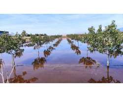 &Sigma;&epsilon; &lambda;&epsilon;&iota;&tau;&omicron;&upsilon;&rho;&gamma;ί&alpha; &xi;&alpha;&nu;ά &eta; &tau;&eta;&lambda;&epsilon;&phi;&omega;&nu;&iota;&kappa;ή &gamma;&rho;&alpha;&mu;&mu;ή &tau;&omicron;&upsilon; &Epsilon;&Lambda;&Gamma;&Alpha; &sigma;&tau;&eta; &Lambda;ά&rho;&iota;&sigma;&alpha;, &epsilon;&nu; ό&psi;&epsilon;&iota; &tau;&eta; &epsilon;&xi;ό&phi;&lambda;&eta;&sigma;&eta;&sigmaf; &tau;&omega;&nu; &alpha;&pi;&omicron;&zeta;&eta;&mu;&iota;ώ&sigma;&epsilon;&omega;&nu;