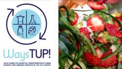 &Epsilon;&rho;&epsilon;&upsilon;&nu;&eta;&tau;&iota;&kappa;ό έ&rho;&gamma;&omicron; WaysTUP! - &Mu;&epsilon;&tau;&alpha;&tau;&rho;&omicron;&pi;ή &tau;&omega;&nu; &beta;&iota;&omicron;&alpha;&pi;&omicron;&beta;&lambda;ή&tau;&omega;&nu; &sigma;&epsilon; &pi;&rho;&omicron;ϊό&nu;&tau;&alpha; &upsilon;&psi;&eta;&lambda;ή&sigmaf; &alpha;&xi;ί&alpha;&sigmaf;