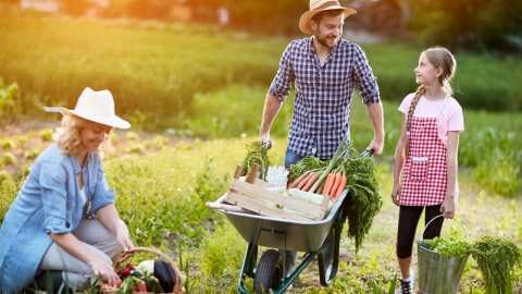 &Alpha;&upsilon;&gamma;&epsilon;&nu;ά&kappa;&eta;&sigmaf; &sigma;&tau;&eta; &Beta;&omicron;&upsilon;&lambda;ή: &Alpha;&nu;&alpha;&gamma;&kappa;&alpha;ί&alpha; &eta; &pi;&epsilon;&rho;&alpha;&iota;&tau;έ&rho;&omega; &alpha;&nu;&alpha;&theta;&epsilon;ώ&rho;&eta;&sigma;&eta; &tau;&eta;&sigmaf; &Kappa;&Alpha;&Pi;