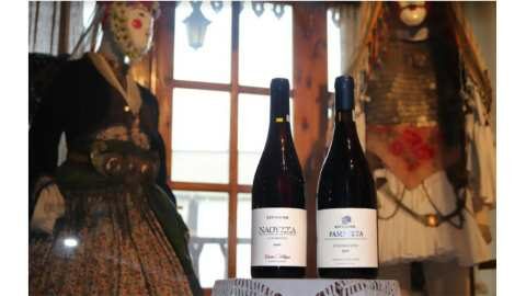 &Mu;&Alpha;&Rho;&Tau;&Iota;&Omicron;&Sigma; &Sigma;&Tau;&Omicron; &Kappa;&Tau;&Eta;&Mu;&Alpha; &Kappa;&Upsilon;&Rho;-&Gamma;&Iota;&Alpha;&Nu;&Nu;&Eta; - &Omicron; &mu;ή&nu;&alpha;&sigmaf; &tau;&eta;&sigmaf; &Nu;&alpha;&omicron;&upsilon;&sigma;&alpha;ί&iota;&kappa;&eta;&sigmaf; &Alpha;&pi;&omicron;&kappa;&rho;&iota;ά&sigmaf;