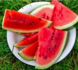 &Pi;έ&nu;&tau;&epsilon; &sigma;&eta;&mu;&alpha;&nu;&tau;&iota;&kappa;ά &omicron;&phi;έ&lambda;&eta; &tau;&omicron;&upsilon; &kappa;&alpha;&rho;&pi;&omicron;&upsilon;&zeta;&iota;&omicron;ύ &gamma;&iota;&alpha; &tau;&eta;&nu; &upsilon;&gamma;&epsilon;ί&alpha; &kappa;&alpha;&iota; &kappa;&alpha;&lambda;ή &lambda;&epsilon;&iota;&tau;&omicron;&upsilon;&rho;&gamma;ί&alpha; &tau;&omicron;&upsilon; &omicron;&rho;&gamma;&alpha;&nu;&iota;&sigma;&mu;&omicron;ύ &mu;&alpha;&sigmaf;