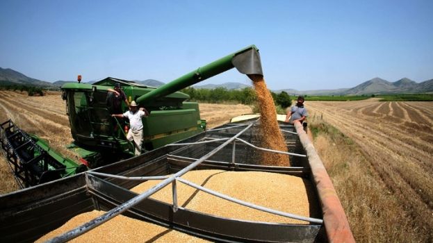 Έ&kappa;&tau;&alpha;&kappa;&tau;&eta; &psi;&eta;&phi;&iota;&alpha;&kappa;ή &sigma;ύ&nu;&omicron;&delta;&omicron;&sigmaf; &tau;&omega;&nu; &upsilon;&pi;&omicron;&upsilon;&rho;&gamma;ώ&nu; &Gamma;&epsilon;&omega;&rho;&gamma;ί&alpha;&sigmaf; &tau;&eta;&sigmaf; G7 &alpha;&phi;&iota;&epsilon;&rho;&omega;&mu;έ&nu;&eta; &sigma;&tau;&eta;&nu; &epsilon;&pi;&iota;&sigma;&iota;&tau;&iota;&sigma;&tau;&iota;&kappa;ή &alpha;&sigma;&phi;ά&lambda;&epsilon;&iota;&alpha;