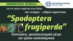 &Epsilon;&nu;&eta;&mu;&epsilon;&rho;&omega;&tau;&iota;&kappa;έ&sigmaf; &epsilon;&kappa;&delta;&eta;&lambda;ώ&sigma;&epsilon;&iota;&sigmaf; &alpha;&pi;ό &tau;&eta;&nu; &Pi;&epsilon;&rho;&iota;&phi;έ&rho;&epsilon;&iota;&alpha; &Kappa;&rho;ή&tau;&eta;&sigmaf; &gamma;&iota;&alpha; &tau;&eta;&nu; &pi;&rho;ώ&tau;&eta; &epsilon;&mu;&phi;ά&nu;&iota;&sigma;&eta; &tau;&omicron;&upsilon; &epsilon;&nu;&tau;ό&mu;&omicron;&upsilon; &ndash; &epsilon;&chi;&theta;&rho;&omicron;ύ &kappa;&alpha;&rho;&alpha;&nu;&tau;ί&nu;&alpha;&sigmaf; &laquo;Spodoptera fruigipedra&raquo;