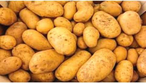 &Epsilon;&mu;&mu;&alpha;&nu;&omicron;&upsilon;ή&lambda; &Phi;&rho;ά&gamma;&kappa;&omicron;&sigmaf; : &Epsilon;&upsilon;&theta;ύ&nu;&eta; &tau;&eta;&sigmaf; &epsilon;&lambda;&lambda;&eta;&nu;&iota;&kappa;ή&sigmaf; &kappa;&upsilon;&beta;έ&rho;&nu;&eta;&sigma;&eta;&sigmaf; &eta; &mu;&eta; &upsilon;&pi;&omicron;&sigma;&tau;ή&rho;&iota;&xi;&eta; &tau;&omega;&nu; &Epsilon;&lambda;&lambda;ή&nu;&omega;&nu; &pi;&alpha;&tau;&alpha;&tau;&omicron;&pi;&alpha;&rho;&alpha;&gamma;&omega;&gamma;ώ&nu;