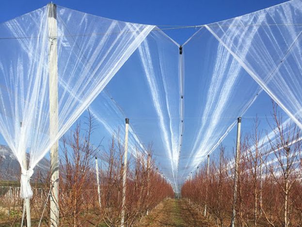 &Tau;&omicron;&upsilon;&lambda;ά&chi;&iota;&sigma;&tau;&omicron;&nu; 15 &epsilon;&kappa;&alpha;&tau;&omicron;&mu;&mu;ύ&rho;&iota;&alpha; &epsilon;&upsilon;&rho;ώ &gamma;&iota;&alpha; &epsilon;&pi;&epsilon;&nu;&delta;ύ&sigma;&epsilon;&iota;&sigmaf; &pi;&rho;&omicron;&sigma;&tau;&alpha;&sigma;ί&alpha;&sigmaf; &alpha;&pi;ό &tau;&alpha; έ&nu;&tau;&omicron;&nu;&alpha; &kappa;&alpha;&iota;&rho;&iota;&kappa;ά &phi;&alpha;&iota;&nu;ό&mu;&epsilon;&nu;&alpha;