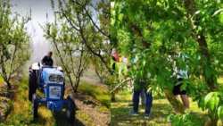 &Eta; &epsilon;&phi;&alpha;&rho;&mu;&omicron;&gamma;ή &omicron;&upsilon;&rho;ί&alpha;&sigmaf; &tau;&omicron; &phi;&theta;&iota;&nu;ό&pi;&omega;&rho;&omicron; &mu;&epsilon; 2-3 &psi;&epsilon;&kappa;&alpha;&sigma;&mu;&omicron;ύ&sigmaf; &epsilon;&pi;&iota;&phi;έ&rho;&epsilon;&iota; &epsilon;&xi;&alpha;&iota;&rho;&epsilon;&tau;&iota;&kappa;ά &alpha;&pi;&omicron;&tau;&epsilon;&lambda;έ&sigma;&mu;&alpha;&tau;&alpha;