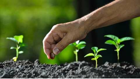 &Nu;έ&epsilon;&sigmaf; &Gamma;&omicron;&nu;&iota;&delta;&iota;&omega;&mu;&alpha;&tau;&iota;&kappa;έ&sigmaf; &Tau;&epsilon;&chi;&nu;&iota;&kappa;έ&sigmaf; &sigma;&tau;&alpha; &phi;&upsilon;&tau;ά: &delta;&iota;&alpha;&phi;έ&rho;&omicron;&upsilon;&nu; &tau;&epsilon;&lambda;&iota;&kappa;ά &alpha;&pi;ό &tau;&alpha; &Gamma;&epsilon;&nu;&epsilon;&tau;&iota;&kappa;ώ&sigmaf; &Tau;&rho;&omicron;&pi;&omicron;&pi;&omicron;&iota;&eta;&mu;έ&nu;&alpha;;