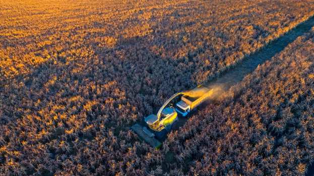 EE : &Delta;&iota;&alpha;&beta;&omicron;&upsilon;&lambda;&epsilon;ύ&sigma;&epsilon;&iota;&sigmaf; &mu;&epsilon; 5 &kappa;&rho;ά&tau;&eta; &mu;έ&lambda;&eta; &gamma;&iota;&alpha; &tau;&iota;&sigmaf; &epsilon;&iota;&sigma;&alpha;&gamma;&omega;&gamma;έ&sigmaf; &alpha;&gamma;&rho;&omicron;&tau;&iota;&kappa;ώ&nu; &pi;&rho;&omicron;ϊό&nu;&tau;&omega;&nu; &alpha;&pi;ό &tau;&eta;&nu; &Omicron;&upsilon;&kappa;&rho;&alpha;&nu;ί&alpha;