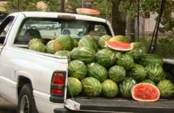 &Pi;&rho;&omicron;&kappa;ή&rho;&upsilon;&xi;&eta; &chi;&omicron;&rho;ή&gamma;&eta;&sigma;&eta;&sigmaf; 90 &nu;έ&omega;&nu; &alpha;&delta;&epsilon;&iota;ώ&nu; &kappa;&alpha;&iota; 10 &theta;έ&sigma;&epsilon;&omega;&nu; &kappa;&alpha;&iota; &delta;&iota;&kappa;&alpha;&iota;&omega;&mu;ά&tau;&omega;&nu; &delta;&rho;&alpha;&sigma;&tau;&eta;&rho;&iota;&omicron;&pi;&omicron;ί&eta;&sigma;&eta;&sigmaf; &sigma;&tau;&omicron; &pi;&lambda;&alpha;&nu;ό&delta;&iota;&omicron; &epsilon;&mu;&pi;ό&rho;&iota;&omicron; &sigma;&tau;&eta;&nu; &Pi;&epsilon;&rho;&iota;&phi;έ&rho;&epsilon;&iota;&alpha; &Kappa;&rho;ή&tau;&eta;&sigmaf;