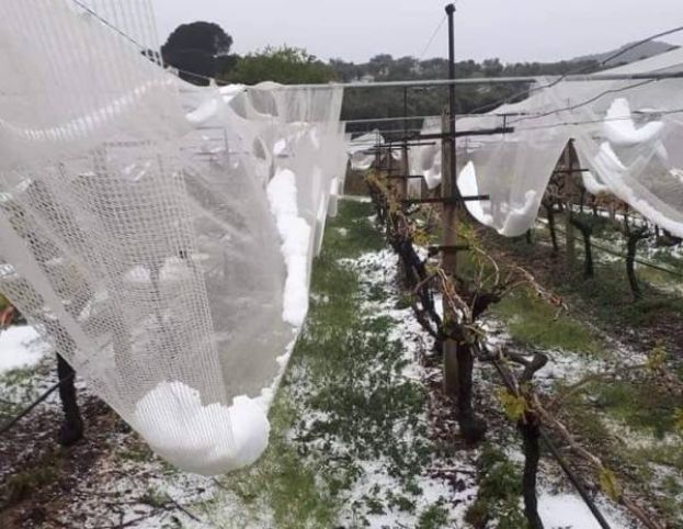 &Sigma;&epsilon; &alpha;&pi;ό&gamma;&nu;&omega;&sigma;&eta; &omicron;&iota; &alpha;&gamma;&rho;ό&tau;&epsilon;&sigmaf; &tau;&eta;&sigmaf; &Pi;&Epsilon; &Kappa;&alpha;&beta;ά&lambda;&alpha;&sigmaf; &mu;&epsilon;&tau;ά &tau;&iota;&sigmaf; &tau;&epsilon;&lambda;&epsilon;&upsilon;&tau;&alpha;ί&epsilon;&sigmaf; &chi;&alpha;&lambda;&alpha;&zeta;&omicron;&pi;&tau;ώ&sigma;&epsilon;&iota;&sigmaf;