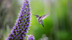 &Eta; &Epsilon;&Epsilon; &epsilon;&xi;&alpha;&sigma;&phi;&alpha;&lambda;ί&zeta;&epsilon;&iota; &phi;&iota;&lambda;ό&delta;&omicron;&xi;&eta; &delta;&iota;&alpha;&pi;&rho;&alpha;&gamma;&mu;&alpha;&tau;&epsilon;&upsilon;&tau;&iota;&kappa;ή &epsilon;&nu;&tau;&omicron;&lambda;ή &tau;&eta;&sigmaf; &Epsilon;&Epsilon; &gamma;&iota;&alpha; &tau;&rho;&iota;&pi;&lambda;έ&sigmaf; COP &gamma;&iota;&alpha; &tau;&omicron; &kappa;&lambda;ί&mu;&alpha;, &tau;&eta; &beta;&iota;&omicron;&pi;&omicron;&iota;&kappa;&iota;&lambda;ό&tau;&eta;&tau;&alpha; &kappa;&alpha;&iota; &tau;&eta;&nu; &alpha;&pi;&epsilon;&rho;ή&mu;&omega;&sigma;&eta; | &Alpha;&gamma;&rho;&omicron;&tau;&iota;&kappa;ά &nu;έ&alpha; IMATHIOTIKIGI.GR