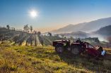&Eta; &iota;&tau;&alpha;&lambda;&iota;&kappa;ή &gamma;&epsilon;&omega;&rho;&gamma;ί&alpha; &alpha;&pi;&alpha;&sigma;&chi;&omicron;&lambda;&epsilon;ί &tau;&omicron;&upsilon;&sigmaf; &pi;&epsilon;&rho;&iota;&sigma;&sigma;ό&tau;&epsilon;&rho;&omicron;&upsilon;&sigmaf; &epsilon;&rho;&gamma;ά&tau;&epsilon;&sigmaf; &sigma;&tau;&eta;&nu; &Epsilon;&Epsilon;