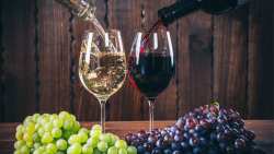 GREEK WINE ACADEMY &Alpha;&Pi;&Omicron; &Tau;&Eta;&Nu; &Epsilon;&Theta;&Nu;&Iota;&Kappa;&Eta; &Delta;&Iota;&Epsilon;&Pi;&Alpha;&Gamma;&Gamma;&Epsilon;&Lambda;&Mu;&Alpha;&Tau;&Iota;&Kappa;&Eta; &Omicron;&Rho;&Gamma;&Alpha;&Nu;&Omega;&Sigma;&Eta; &Alpha;&Mu;&Pi;&Epsilon;&Lambda;&Omicron;&Upsilon; &amp; &Omicron;&Iota;&Nu;&Omicron;&Upsilon;
