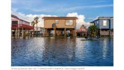 &Tau;&omicron;&upsilon;&lambda;ά&chi;&iota;&sigma;&tau;&omicron;&nu; 200 &kappa;&rho;&omicron;&kappa;ό&delta;&epsilon;&iota;&lambda;&omicron;&iota; &epsilon;&iota;&sigma;ή&lambda;&theta;&alpha;&nu; &sigma;&epsilon; &alpha;&sigma;&tau;&iota;&kappa;έ&sigmaf; &pi;&epsilon;&rho;&iota;&omicron;&chi;έ&sigmaf; &lambda;ό&gamma;&omega; &tau;&rho;&omicron;&pi;&iota;&kappa;ή&sigmaf; &kappa;&alpha;&tau;&alpha;&iota;&gamma;ί&delta;&alpha;&sigmaf; - &Delta;&epsilon;ί&tau;&epsilon; &pi;&omicron;&upsilon; &sigma;&upsilon;&nu;έ&beta;&eta; &kappa;&alpha;&iota; &pi;&omega;&sigmaf; &alpha;&nu;&tau;&iota;&mu;&epsilon;&tau;&omega;&pi;ί&zeta;&epsilon;&tau;&alpha;&iota;