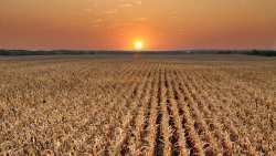 &Pi;&Omicron;&Gamma;&Epsilon;&Delta;&Upsilon;: Ά&sigma;&chi;&epsilon;&tau;&omicron;&iota; &laquo;&mu;&epsilon;&tau;&alpha;&rho;&rho;&upsilon;&theta;&mu;&iota;&sigma;&tau;έ&sigmaf;&raquo; &epsilon;&iota;&delta;&iota;&kappa;&omicron;ί &sigma;&tau;&iota;&sigmaf; &epsilon;&xi;&alpha;&gamma;&gamma;&epsilon;&lambda;ί&epsilon;&sigmaf;