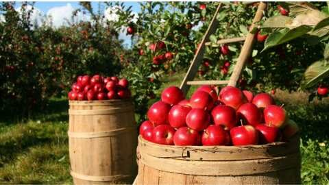 &Gamma;&epsilon;&omega;&rho;&gamma;&iota;&kappa;έ&sigmaf; &pi;&rho;&omicron;&epsilon;&iota;&delta;&omicron;&pi;&omicron;&iota;ή&sigma;&epsilon;&iota;&sigmaf; &gamma;&iota;&alpha; &tau;&eta; &Mu;&eta;&lambda;&iota;ά