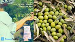 &Pi;&rho;&omicron;&sigma;&tau;&alpha;&sigma;ί&alpha; &tau;&eta;&sigmaf; &epsilon;&lambda;&iota;ά&sigmaf; &alpha;&pi;ό &delta;ά&kappa;&omicron; &kappa;&alpha;&iota; ή&lambda;&iota;&omicron; &mu;&epsilon; &tau;&eta; &chi;&rho;ή&sigma;&eta; &tau;&omicron;&upsilon; &Theta;&rho;&alpha;&kappa;&iota;&kappa;&omicron;ύ &Zeta;&epsilon;ό&lambda;&iota;&theta;&omicron;&upsilon;