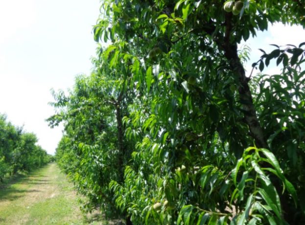 &Kappa;&alpha;&lambda;&lambda;&iota;έ&rho;&gamma;&epsilon;&iota;&epsilon;&sigmaf;: &Zeta;&eta;&mu;&iota;έ&sigmaf; &pi;&omicron;&upsilon; &pi;&rho;&omicron;&kappa;&alpha;&lambda;&omicron;ύ&nu;&tau;&alpha;&iota; &alpha;&pi;ό &tau;&iota;&sigmaf; &alpha;&upsilon;&xi;&eta;&mu;έ&nu;&epsilon;&sigmaf; &theta;&epsilon;&rho;&mu;&omicron;&kappa;&rho;&alpha;&sigma;ί&epsilon;&sigmaf;