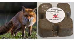 &Alpha;&nu;&alpha;&kappa;&omicron;ί&nu;&omega;&sigma;&eta;  &Delta;&iota;&epsilon;ύ&theta;&upsilon;&nu;&sigma;&eta;&sigmaf; &Kappa;&tau;&eta;&nu;&iota;&alpha;&tau;&rho;&iota;&kappa;ή&sigmaf; &Pi;&Kappa;&Mu; &gamma;&iota;&alpha; &tau;&eta;&nu; έ&nu;&alpha;&rho;&xi;&eta; &epsilon;&mu;&beta;&omicron;&lambda;&iota;&alpha;&sigma;&mu;ώ&nu; &kappa;&alpha;&tau;ά &tau;&eta;&sigmaf; &lambda;ύ&sigma;&sigma;&alpha;&sigmaf; &tau;&omega;&nu; &kappa;ό&kappa;&kappa;&iota;&nu;&omega;&nu; &alpha;&lambda;&epsilon;&pi;&omicron;ύ&delta;&omega;&nu;