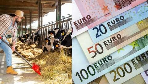 &Epsilon;&xi;&iota;&sigma;&omega;&tau;&iota;&kappa;ή &alpha;&pi;&omicron;&zeta;&eta;&mu;ί&omega;&sigma;&eta;: &Alpha;&nu;&alpha;&kappa;&omicron;ί&nu;&omega;&sigma;&eta; &Omicron;&Pi;&Epsilon;&Kappa;&Epsilon;&Pi;&Epsilon; &gamma;&iota;&alpha; &mu;&epsilon;&tau;&alpha;&kappa;&iota;&nu;&omicron;ύ&mu;&epsilon;&nu;&omicron;&upsilon;&sigmaf; &kappa;&tau;&eta;&nu;&omicron;&tau;&rho;ό&phi;&omicron;&upsilon;&sigmaf;