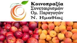 &Alpha;&pi;&omicron;&zeta;&eta;&mu;&iota;ώ&sigma;&epsilon;&iota;&sigmaf; &gamma;&iota;&alpha; &tau;&iota;&sigmaf; &beta;&rho;&omicron;&chi;&omicron;&pi;&tau;ώ&sigma;&epsilon;&iota;&sigmaf;: &Eta; &theta;έ&sigma;&eta; &tau;&eta;&sigmaf; &Kappa;&omicron;&iota;&nu;&omicron;&pi;&rho;&alpha;&xi;ί&alpha;&sigmaf; &Sigma;&upsilon;&nu;&epsilon;&tau;&alpha;&iota;&rho;&iota;&sigma;&mu;ώ&nu; &Omicron;&mu;ά&delta;&omega;&nu; &Pi;&alpha;&rho;&alpha;&gamma;&omega;&gamma;ώ&nu; &Eta;&mu;&alpha;&theta;ί&alpha;&sigmaf;