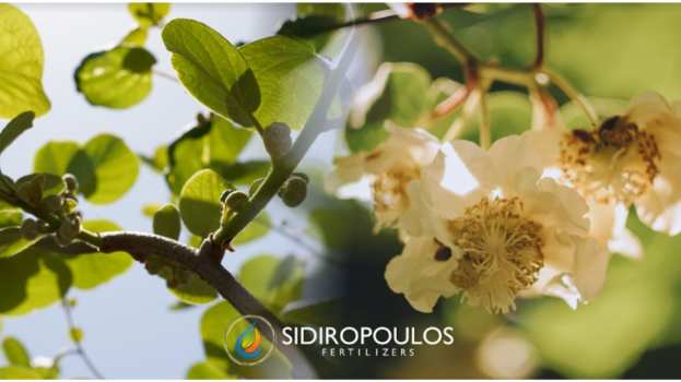 Ώ&rho;&epsilon;&sigmaf; &psi;ύ&chi;&omicron;&upsilon;&sigmaf; &sigma;&tau;&omicron; &Alpha;&kappa;&tau;&iota;&nu;ί&delta;&iota;&omicron;: &Gamma;&iota;&alpha;&tau;ί &epsilon;ί&nu;&alpha;&iota; &sigma;&eta;&mu;&alpha;&nu;&tau;&iota;&kappa;έ&sigmaf; &kappa;&alpha;&iota; &tau;&iota; &iota;&sigma;&chi;ύ&epsilon;&iota;?