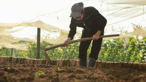 &Sigma;&omicron;&upsilon;&sigma;ά&mu;&iota;: &Beta;ή&mu;&alpha; &pi;&rho;&omicron;&sigmaf; &beta;ή&mu;&alpha; &eta; &kappa;&alpha;&lambda;&lambda;&iota;έ&rho;&gamma;&epsilon;&iota;&alpha;