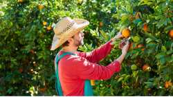 &Tau;&sigma;&alpha;&beta;&delta;&alpha;&rho;ί&delta;&eta;&sigmaf;: &Lambda;ύ&sigma;&eta; &sigma;&tau;&omicron; &zeta;ή&tau;&eta;&mu;&alpha; &tau;&omega;&nu; &mu;&epsilon;&tau;&alpha;&kappa;&lambda;ή&sigma;&epsilon;&omega;&nu; &epsilon;&rho;&gamma;&alpha;&tau;ώ&nu; &gamma;&eta;&sigmaf; &alpha;&pi;ό &tau;&rho;ί&tau;&epsilon;&sigmaf; &chi;ώ&rho;&epsilon;&sigmaf; &delta;ί&nu;&epsilon;&iota; &omicron; &nu;έ&omicron;&sigmaf; &mu;&epsilon;&tau;&alpha;&nu;&alpha;&sigma;&tau;&epsilon;&upsilon;&tau;&iota;&kappa;ό&sigmaf; &kappa;ώ&delta;&iota;&kappa;&alpha;&sigmaf;