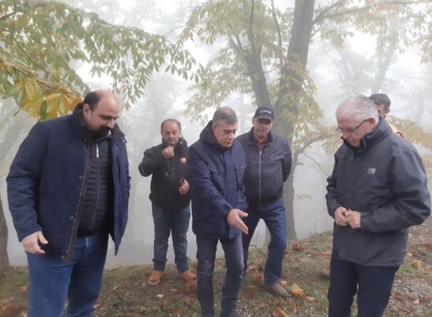 &Gamma;&rho;ή&gamma;&omicron;&rho;&epsilon;&sigmaf; &kappa;&alpha;&iota; &delta;ί&kappa;&alpha;&iota;&epsilon;&sigmaf; &alpha;&pi;&omicron;&zeta;&eta;&mu;&iota;ώ&sigma;&epsilon;&iota;&sigmaf; &sigma;&tau;&omicron;&upsilon;&sigmaf; &pi;&lambda;&eta;&gamma;έ&nu;&tau;&epsilon;&sigmaf; &tau;&omicron;&upsilon; &Alpha;&nu;. &Pi;&eta;&lambda;ί&omicron;&upsilon;, &delta;&epsilon;&sigma;&mu;&epsilon;ύ&tau;&eta;&kappa;&alpha;&nu; &omicron;&iota; &Tau;&rho;&iota;&alpha;&nu;&tau;ό&pi;&omicron;&upsilon;&lambda;&omicron;&sigmaf; &ndash; &Lambda;&upsilon;&kappa;&omicron;&upsilon;&rho;έ&nu;&tau;&zeta;&omicron;&sigmaf;