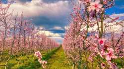 &Epsilon;&sigma;&tau;ά&lambda;&eta;&sigma;&alpha;&nu; &tau;&alpha; &pi;&omicron;&rho;ί&sigma;&mu;&alpha;&tau;&alpha; &Epsilon;&Lambda;&Gamma;&Alpha; &gamma;&iota;&alpha; &tau;&omicron;&nu; &pi;&alpha;&gamma;&epsilon;&tau;ό &sigma;&epsilon; 7 &Tau;&omicron;&pi;&iota;&kappa;έ&sigmaf; &Kappa;&omicron;&iota;&nu;ό&tau;&eta;&tau;&epsilon;&sigmaf; &Delta;ή&mu;&omicron;&upsilon; &Alpha;&lambda;&epsilon;&xi;ά&nu;&delta;&rho;&epsilon;&iota;&alpha;&sigmaf;