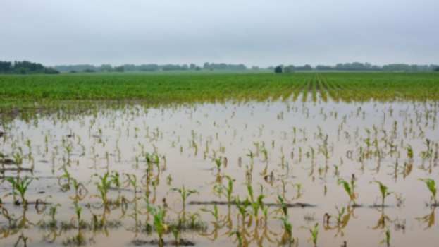 &Pi;&omicron;&iota;&epsilon;&sigmaf; &omicron;&iota; &epsilon;&pi;&iota;&pi;&tau;ώ&sigma;&epsilon;&iota;&sigmaf; &sigma;&tau;&iota;&sigmaf; &gamma;&epsilon;&omega;&rho;&gamma;&iota;&kappa;έ&sigmaf; &epsilon;&kappa;&tau;ά&sigma;&epsilon;&iota;&sigmaf; &alpha;&pi;ό &tau;&iota;&sigmaf; &pi;&lambda;&eta;&mu;&mu;ύ&rho;&epsilon;&sigmaf;
