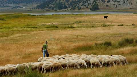 &Mu;έ&chi;&rho;&iota; 23 &Phi;&epsilon;&beta;&rho;&omicron;&upsilon;&alpha;&rho;ί&omicron;&upsilon; 2026 &tau;&alpha; &delta;&iota;&kappa;&alpha;&iota;&omicron;&lambda;&omicron;&gamma;&eta;&tau;&iota;&kappa;ά &alpha;&nu;&omega;&tau;έ&rho;&alpha;&sigmaf; &beta;ί&alpha;&sigmaf; &gamma;&iota;&alpha; &tau;&omicron;&upsilon;&sigmaf; &kappa;&tau;&eta;&nu;&omicron;&tau;&rho;ό&phi;&omicron;&upsilon;&sigmaf;