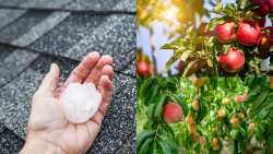 &Chi;ή&tau;&alpha;&sigmaf; &pi;&rho;&omicron;&sigmaf; &Tau;&sigma;&iota;ά&rho;&alpha; : &Pi;&rho;&omicron;&tau;ί&theta;&epsilon;&sigma;&tau;&epsilon; &nu;&alpha; &iota;&kappa;&alpha;&nu;&omicron;&pi;&omicron;&iota;ή&sigma;&epsilon;&tau;&epsilon; &tau;&alpha; &alpha;&iota;&tau;ή&mu;&alpha;&tau;&alpha; &tau;&omicron;&upsilon; &Alpha;&Sigma; &Beta;&epsilon;&rho;&mu;ί&omicron;&upsilon; - &Alpha;&pi;&omicron;&zeta;&eta;&mu;&iota;ώ&sigma;&epsilon;&iota;&sigmaf;, &Epsilon;&Lambda;&Gamma;&Alpha;, &Kappa;ό&sigma;&tau;&omicron;&sigmaf; &pi;&alpha;&rho;&alpha;&gamma;&omega;&gamma;ή&sigmaf;