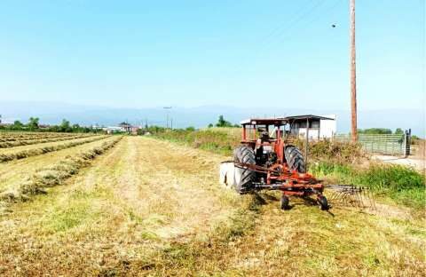 &Tau;&alpha; &alpha;&pi;&omicron;&tau;&epsilon;&lambda;έ&sigma;&mu;&alpha;&tau;&alpha; &gamma;&iota;&alpha; &tau;&omicron;&upsilon; &nu;έ&omicron;&upsilon;&sigmaf; &alpha;&gamma;&rho;ό&tau;&epsilon;&sigmaf; &sigma;&tau;&eta; &Sigma;&tau;&epsilon;&rho;&epsilon;ά &Epsilon;&lambda;&lambda;ά&delta;&alpha;