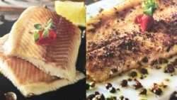 &Alpha;&nu;ά&kappa;&lambda;&eta;&sigma;&eta; &kappa;&alpha;&pi;&nu;&iota;&sigma;&tau;ή&sigmaf; &pi;έ&sigma;&tau;&rho;&omicron;&phi;&alpha;&sigmaf; &alpha;&pi;ό &tau;&omicron;&nu; &Epsilon;&Phi;&Epsilon;&Tau;