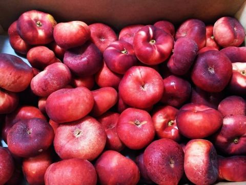 &Eta; &alpha;&nu;&alpha;&kappa;ά&lambda;&upsilon;&psi;&eta; &gamma;&omicron;&nu;&iota;&delta;ί&omega;&nu; &mu;&pi;&omicron;&rho;&epsilon;ί &nu;&alpha; &beta;&omicron;&eta;&theta;ή&sigma;&epsilon;&iota; &tau;&alpha; &rho;&omicron;&delta;ά&kappa;&iota;&nu;&alpha; &nu;&alpha; &alpha;&nu;&epsilon;&chi;&theta;&omicron;ύ&nu; &tau;&eta;&nu; &kappa;&lambda;&iota;&mu;&alpha;&tau;&iota;&kappa;ή &alpha;&lambda;&lambda;&alpha;&gamma;ή