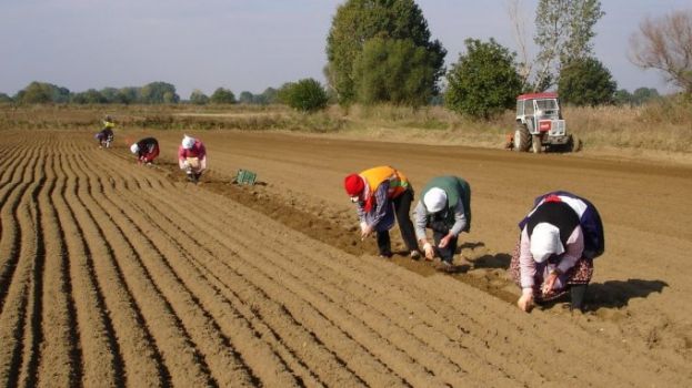 &Sigma;&tau;. &Alpha;&rho;&alpha;&chi;&omega;&beta;ί&tau;&eta;&sigmaf;: &laquo;&Epsilon;&theta;&nu;&iota;&kappa;ό &Sigma;&tau;&rho;&alpha;&tau;&eta;&gamma;&iota;&kappa;ό &Sigma;&chi;έ&delta;&iota;&omicron;: Ά&sigma;&chi;&epsilon;&tau;&eta; ή &alpha;&delta;&iota;ά&phi;&omicron;&rho;&eta; &eta; &pi;&omicron;&lambda;&iota;&tau;&iota;&kappa;ή &eta;&gamma;&epsilon;&sigma;ί&alpha; &tau;&omicron;&upsilon; &Upsilon;&pi;&omicron;&upsilon;&rho;&gamma;&epsilon;ί&omicron;&upsilon; &Alpha;&gamma;&rho;&omicron;&tau;&iota;&kappa;ή&sigmaf; &Alpha;&nu;ά&pi;&tau;&upsilon;&xi;&eta;&sigmaf; &amp; &Tau;&rho;&omicron;&phi;ί&mu;&omega;&nu;;&raquo;