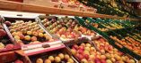 &Delta;έ&sigma;&mu;&epsilon;&upsilon;&sigma;&alpha;&nu; &pi;ά&nu;&omega; &alpha;&pi;ό 1 &tau;ό&nu;&omicron; &rho;&omicron;&delta;ά&kappa;&iota;&nu;&alpha; ά&gamma;&nu;&omega;&sigma;&tau;&eta;&sigmaf; &pi;&rho;&omicron;έ&lambda;&epsilon;&upsilon;&sigma;&eta;&sigmaf; &alpha;&pi;ό &tau;&omicron;&upsilon; &Rho;έ&nu;&tau;&eta;