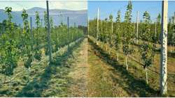 &Pi;&alpha;&rho;&alpha;&gamma;&omega;&gamma;ό&sigmaf; &alpha;&pi;ό &Alpha;&rho;&gamma;&upsilon;&rho;&omicron;&pi;&omicron;ύ&lambda;&iota; &Tau;&upsilon;&rho;&nu;ά&beta;&omicron;&upsilon; &beta;&lambda;έ&pi;&epsilon;&iota; &epsilon;&nu;&tau;&upsilon;&pi;&omega;&sigma;&iota;&alpha;&kappa;ή &alpha;&nu;ά&pi;&tau;&upsilon;&xi;&eta;!