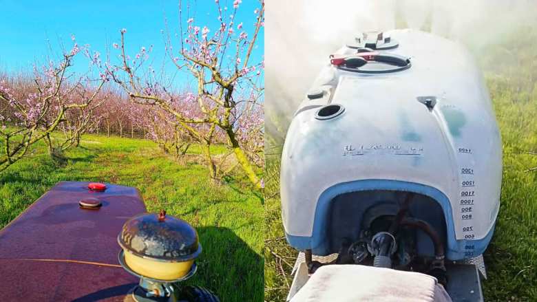 &Omicron;&delta;&eta;&gamma;ί&epsilon;&sigmaf; &alpha;&nu;&tau;&iota;&mu;&epsilon;&tau;ώ&pi;&iota;&sigma;&eta;&sigmaf; &epsilon;&nu;&tau;ό&mu;&omega;&nu; &sigma;&epsilon; &nu;&epsilon;&kappa;&tau;&alpha;&rho;&iota;&nu;&iota;ά &kappa;&alpha;&iota; &rho;&omicron;&delta;&alpha;&kappa;&iota;&nu;&iota;ά | &Alpha;&gamma;&rho;&omicron;&tau;&iota;&kappa;ά &nu;έ&alpha; IMATHIOTIKIGI.GR