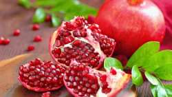 &Omicron;&iota; &epsilon;&upsilon;&epsilon;&rho;&gamma;&epsilon;&tau;&iota;&kappa;έ&sigmaf; &iota;&delta;&iota;ό&tau;&eta;&tau;&epsilon;&sigmaf; &tau;&omicron;&upsilon; &rho;&omicron;&delta;&iota;&omicron;ύ