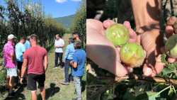 &Tau;&iota;&sigmaf; &pi;&lambda;&eta;&gamma;&epsilon;ί&sigma;&epsilon;&sigmaf; &tau;&omicron;&pi;&iota;&kappa;έ&sigmaf; &kappa;&omicron;&iota;&nu;ό&tau;&eta;&tau;&epsilon;&sigmaf; &tau;&eta;&sigmaf; &Delta;&Epsilon; &Beta;&epsilon;&gamma;&omicron;&rho;ί&tau;&iota;&delta;&alpha;&sigmaf; &epsilon;&pi;&iota;&sigma;&kappa;έ&phi;&tau;&eta;&kappa;&epsilon; &omicron; &Lambda;ά&kappa;&eta;&sigmaf; &Beta;&alpha;&sigma;&iota;&lambda;&epsilon;&iota;ά&delta;&eta;&sigmaf;