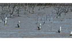 Ά&mu;&epsilon;&sigma;&eta; &kappa;&alpha;&lambda;&lambda;&iota;έ&rho;&gamma;&epsilon;&iota;&alpha; &tau;&omega;&nu; &pi;&lambda;&eta;&mu;&mu;&upsilon;&rho;&iota;&sigma;&mu;έ&nu;&omega;&nu; &epsilon;&kappa;&tau;ά&sigma;&epsilon;&omega;&nu;, ύ&sigma;&tau;&epsilon;&rho;&alpha; &alpha;&pi;ό &tau;&eta;&nu; &alpha;&pi;&omicron;&sigma;&tau;&rho;ά&gamma;&gamma;&iota;&sigma;ή &tau;&omicron;&upsilon;&sigmaf; &sigma;&tau;ό&chi;&omicron;&sigmaf; &tau;&omicron;&upsilon; &Epsilon;&Lambda;&Gamma;&Omicron; &ndash; &Delta;&Eta;&Mu;&Eta;&Tau;&Rho;&Alpha; &kappa;&alpha;&iota; &tau;&omicron;&upsilon; &Upsilon;&pi;&Alpha;&Alpha;&Tau;