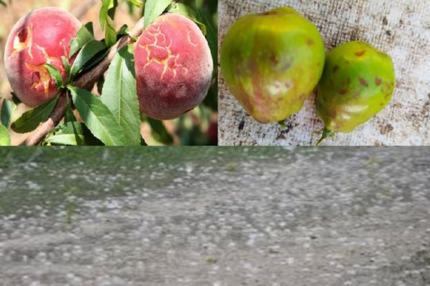 &Eta; &sigma;&phi;&omicron;&delta;&rho;ή &chi;&alpha;&lambda;&alpha;&zeta;ό&pi;&tau;&omega;&sigma;&eta; &alpha;&pi;&omicron;&tau;&epsilon;&lambda;&epsilon;ί&omega;&sigma;&epsilon; &tau;&eta;&nu; &epsilon;&nu;&alpha;&pi;&omicron;&mu;&epsilon;ί&nu;&alpha;&nu;&tau;&alpha; &alpha;&pi;ό &tau;&omicron;&upsilon;&sigmaf; &pi;&alpha;&gamma;&epsilon;&tau;&omicron;ύ&sigmaf; &pi;&alpha;&rho;&alpha;&gamma;&omega;&gamma;ή &tau;&eta;&sigmaf; &Eta;&mu;&alpha;&theta;ί&alpha;&sigmaf;